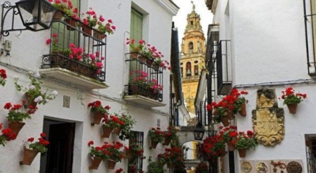 Ferienwohnung Vft Flor De Naranjo Córdoba Exterior foto
