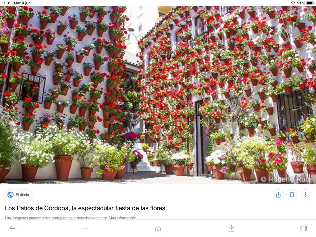 Ferienwohnung Vft Flor De Naranjo Córdoba Exterior foto